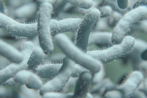 Bacteria. Bacterium. Cyan color. Bacteria under microscope background. Microscopic view of virus and bacteria Cells. 3d illustration.