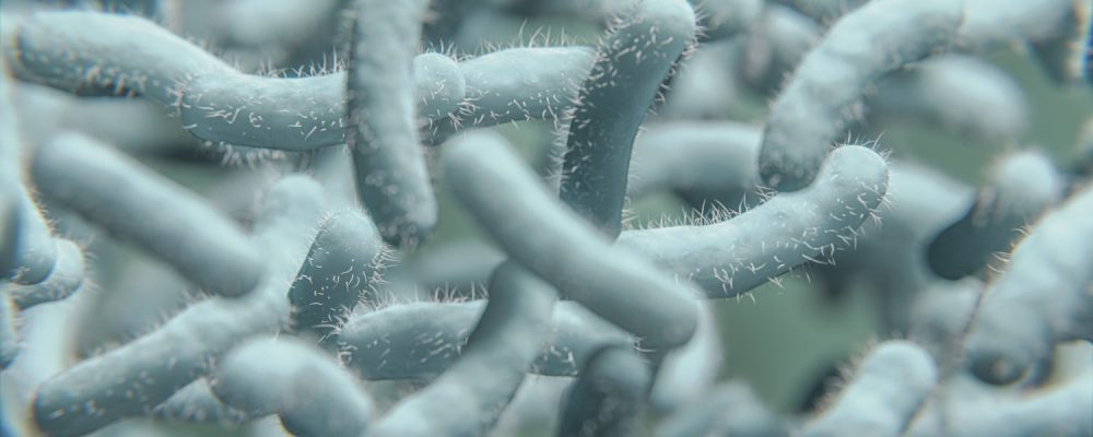 Bacteria. Bacterium. Cyan color. Bacteria under microscope background. Microscopic view of virus and bacteria Cells. 3d illustration.