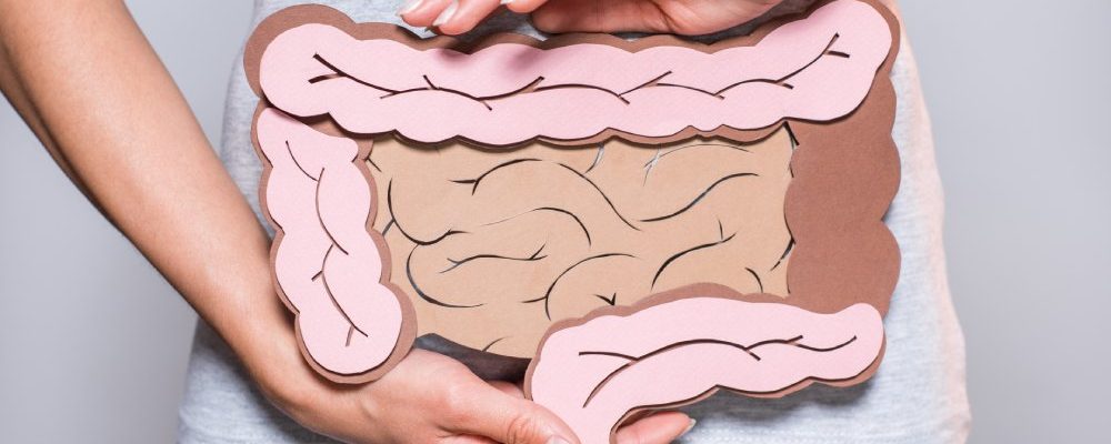 partial view of woman holding paper made large intestine on grey background